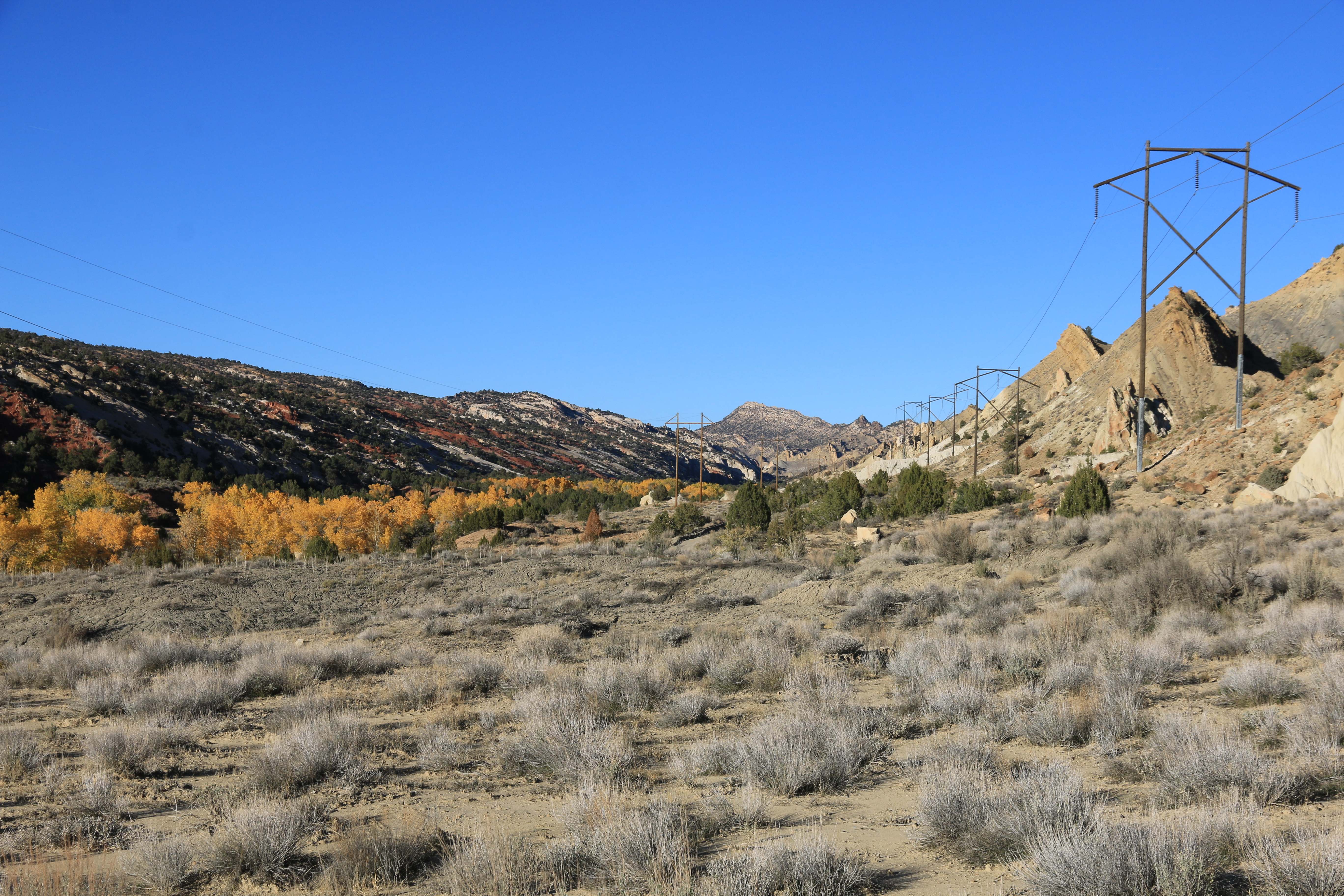 Escalante